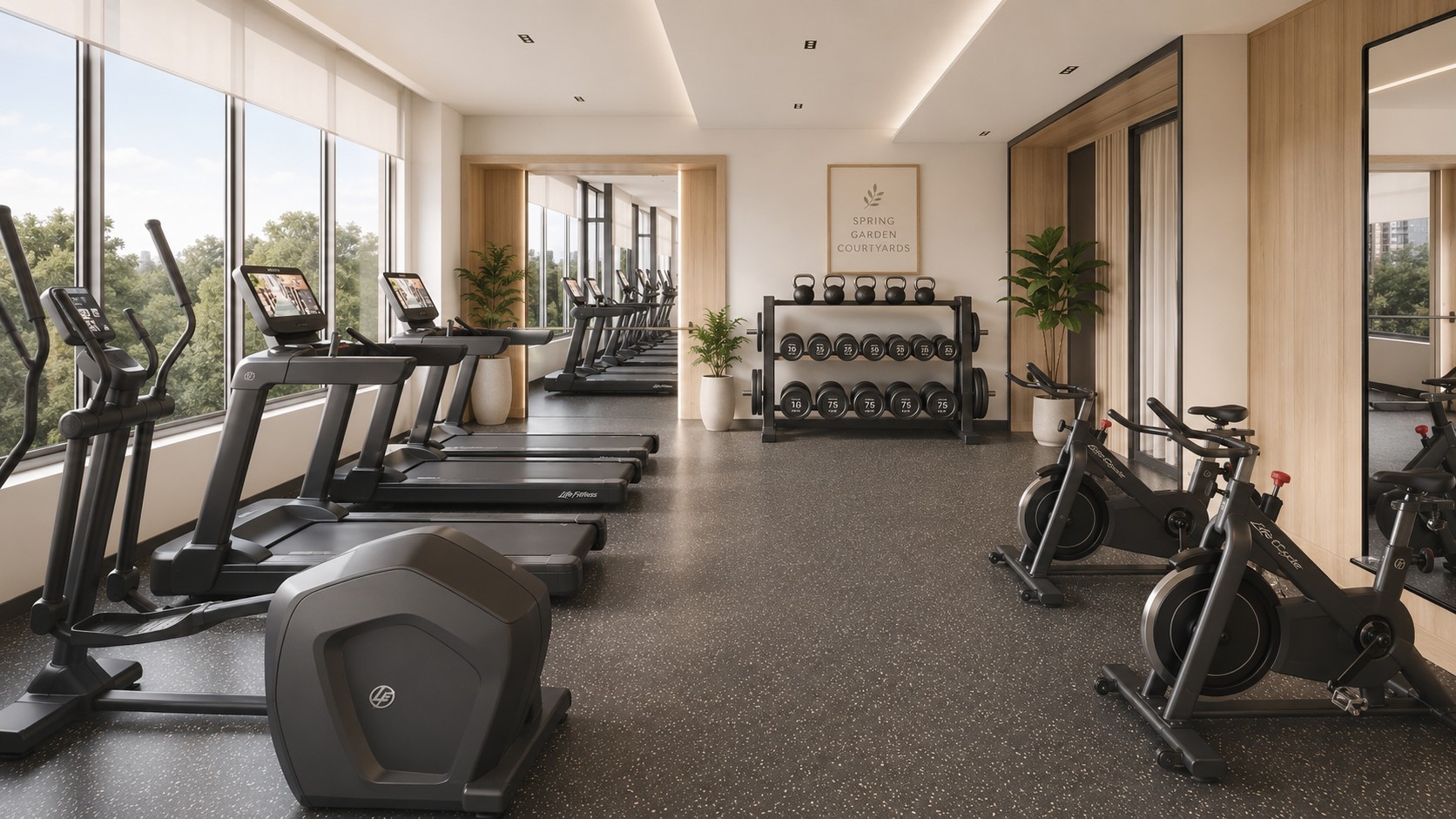 The gym